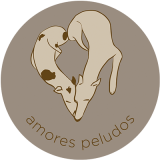 03_Protectoras_amores_peludos_petsandphoto