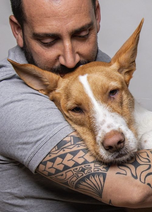 Nala_petsANDphoto_0001_B