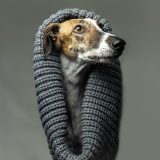 Testimonio_Avatar_01_Tita_Petsandphoto