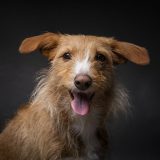 Testimonio_Avatar_03_NAYA_Petsandphoto